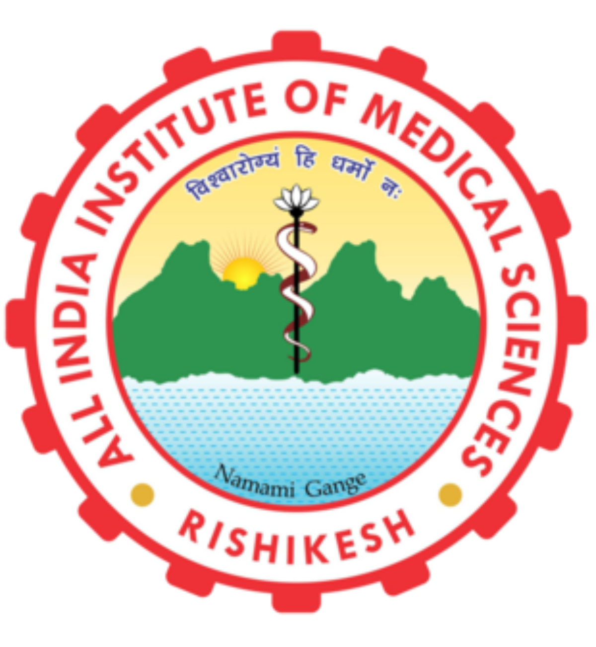 All India Institute Of Medical Sciences (AIIMS)